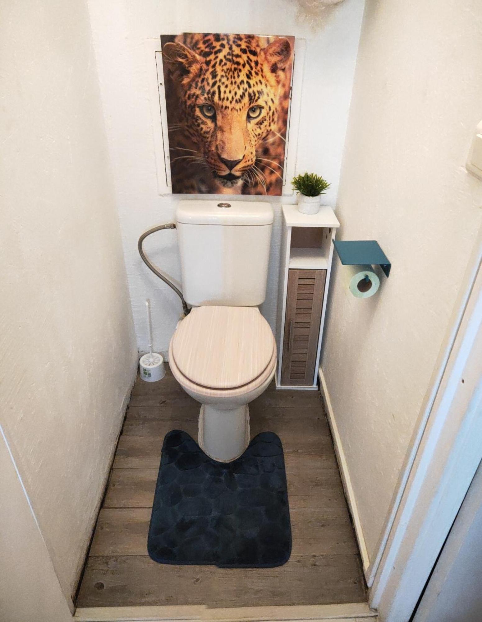 La Perle Marine: Cozy Beachside With Marina View Sete